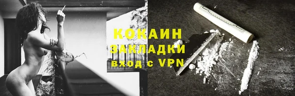 хмурый Аркадак