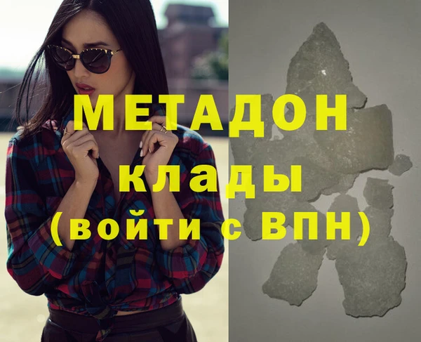 хмурый Аркадак