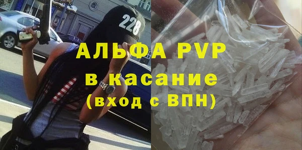 хмурый Аркадак