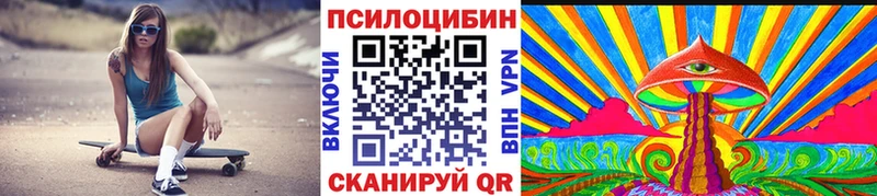 Купить  Ермолино  Псилоцибиновые грибы прущие грибы 