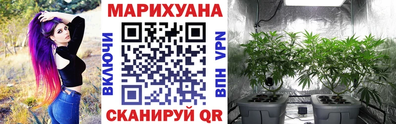 Бошки Шишки ГИДРОПОН Купить где Ермолино
